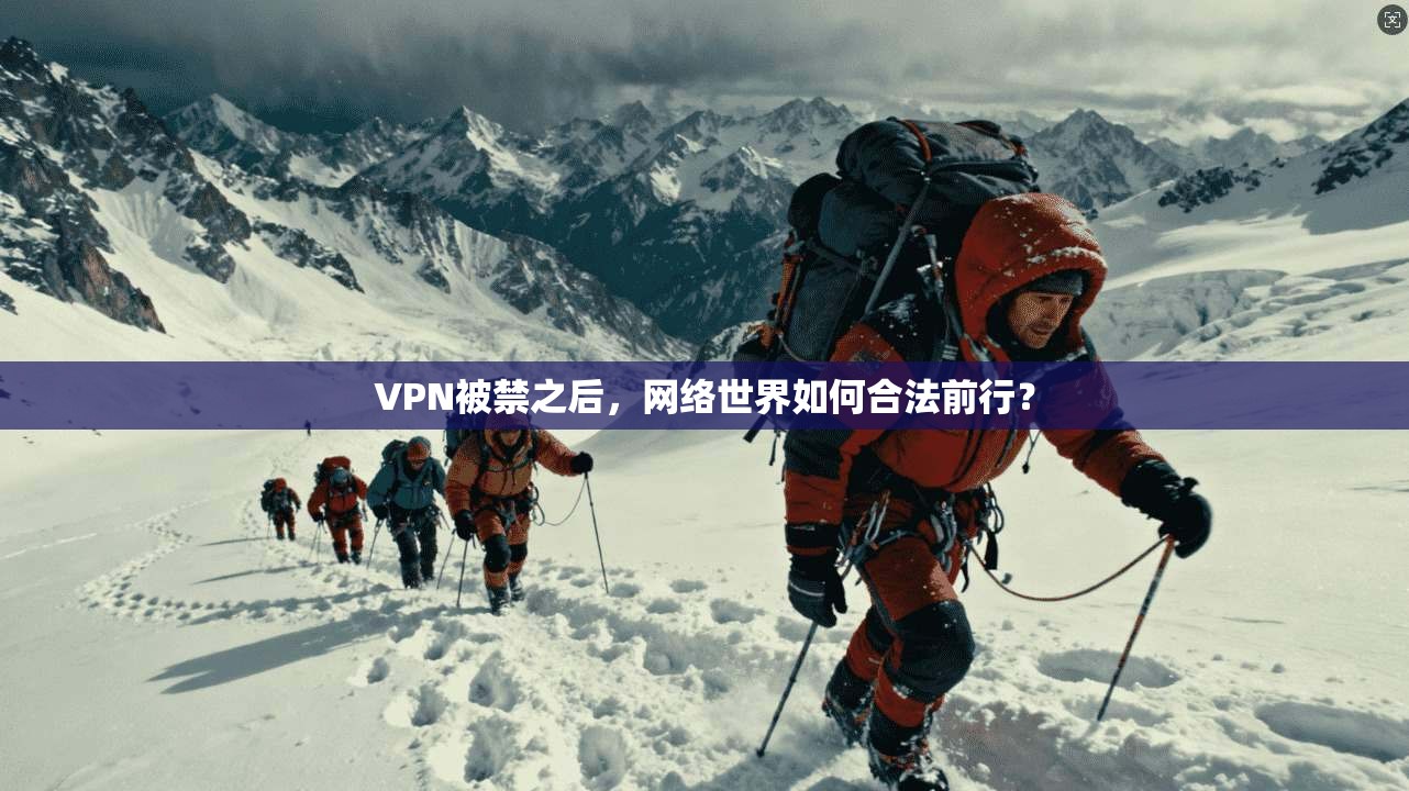 VPN被禁之后，网络世界如何合法前行？