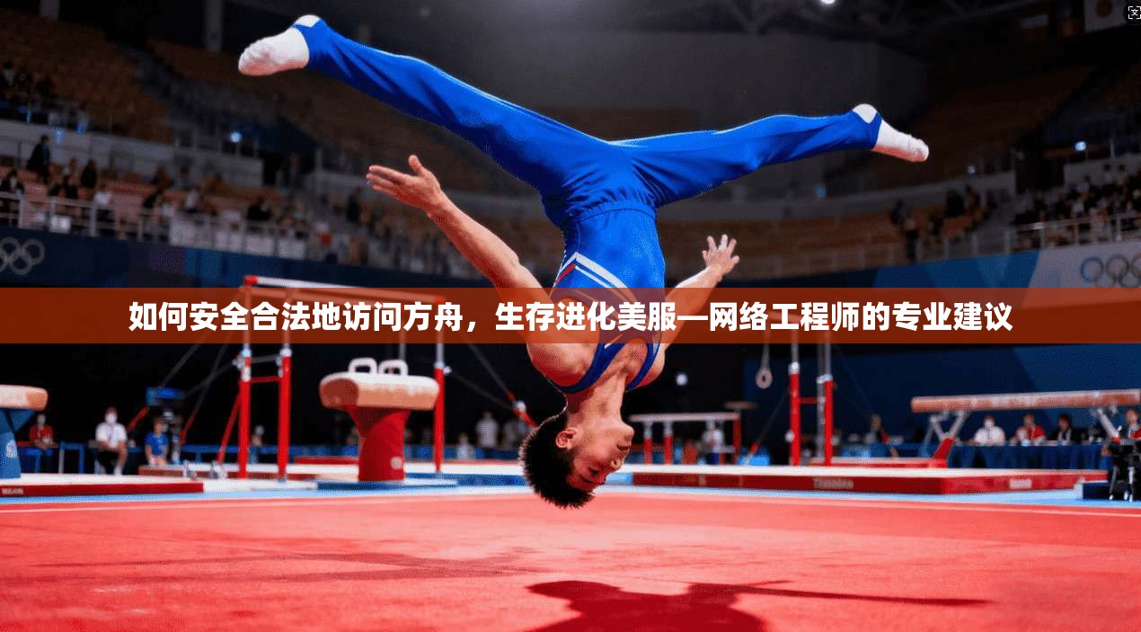 如何安全合法地访问方舟，生存进化美服—网络工程师的专业建议