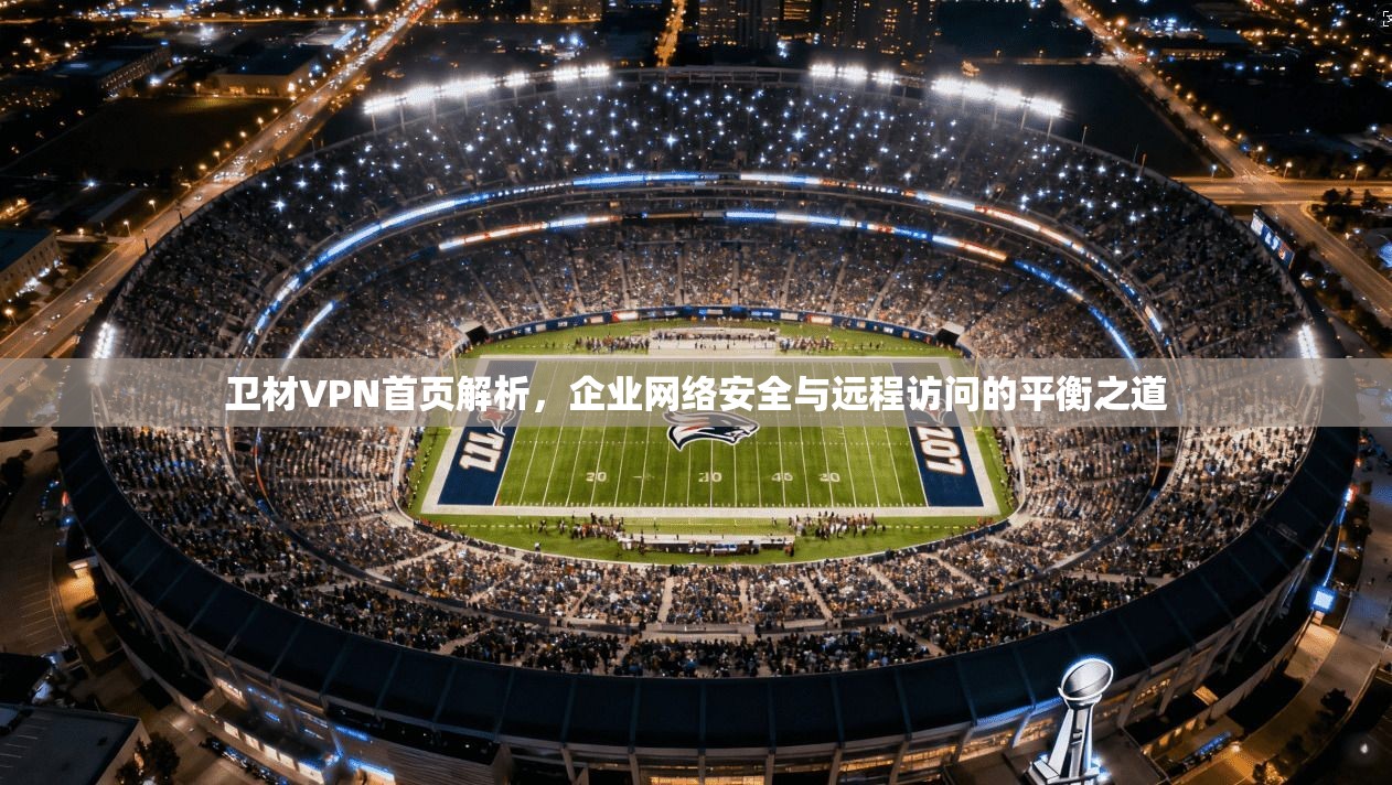 卫材VPN首页解析，企业网络安全与远程访问的平衡之道