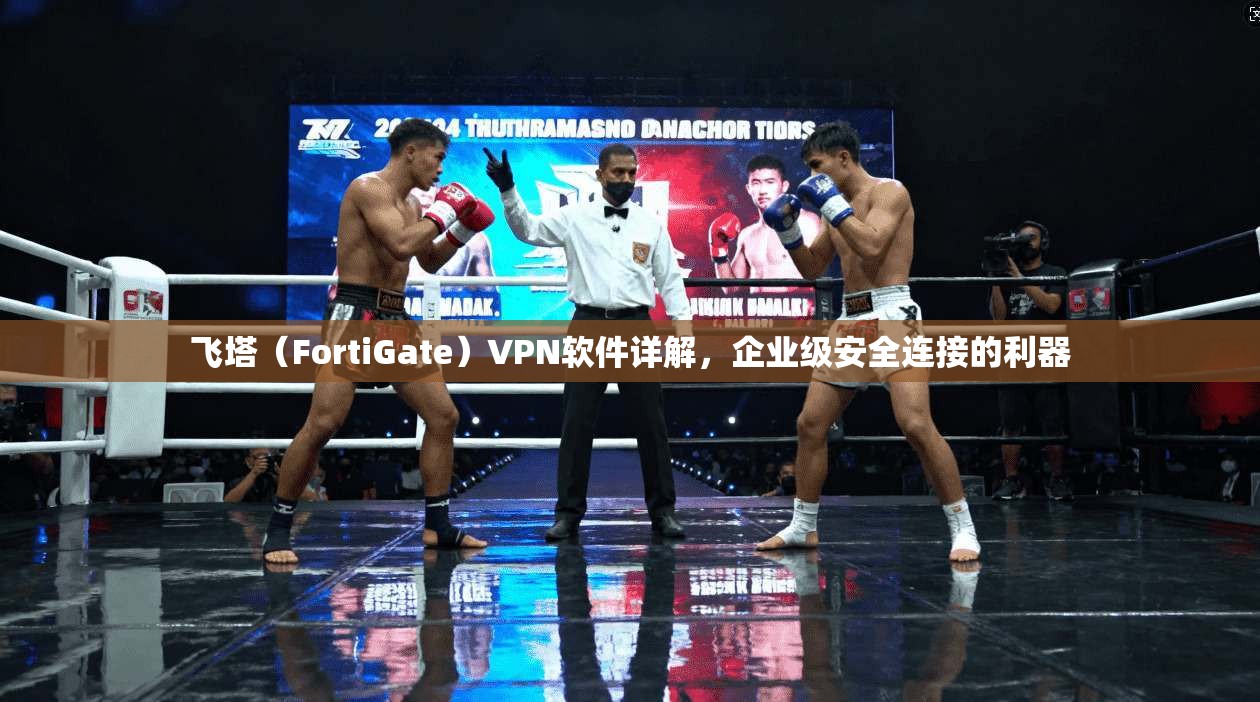 飞塔（FortiGate）VPN软件详解，企业级安全连接的利器