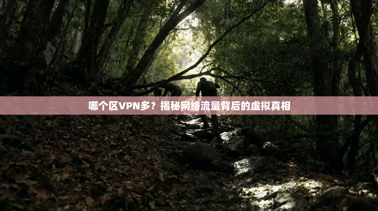 哪个区VPN多?揭秘网络流量背后的虚拟真相