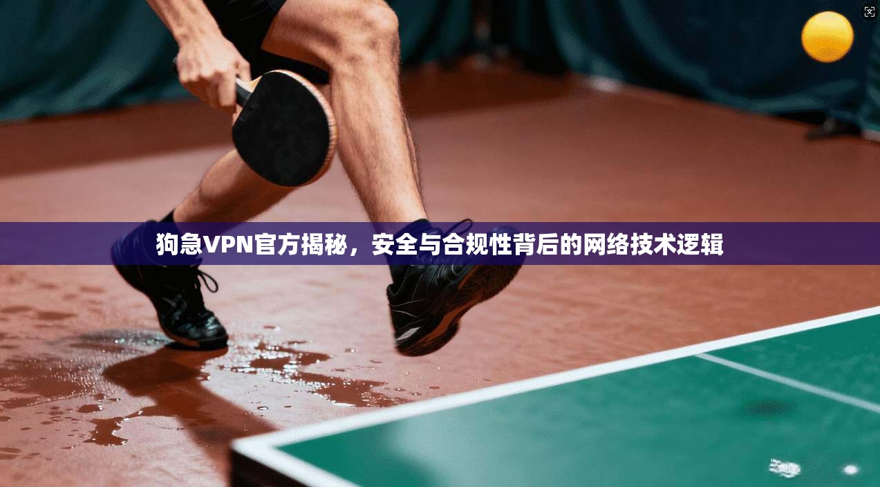 狗急VPN官方揭秘,安全与合规性背后的网络技术逻辑