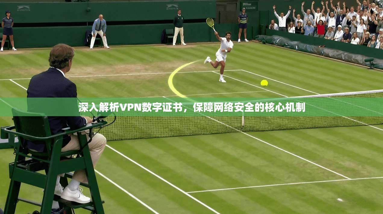 深入解析VPN数字证书，保障网络安全的核心机制