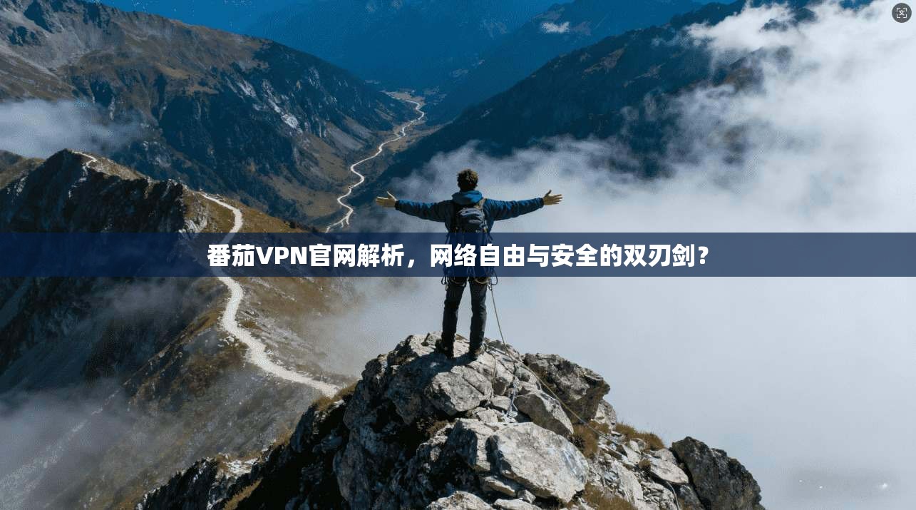 番茄VPN官网解析，网络自由与安全的双刃剑？
