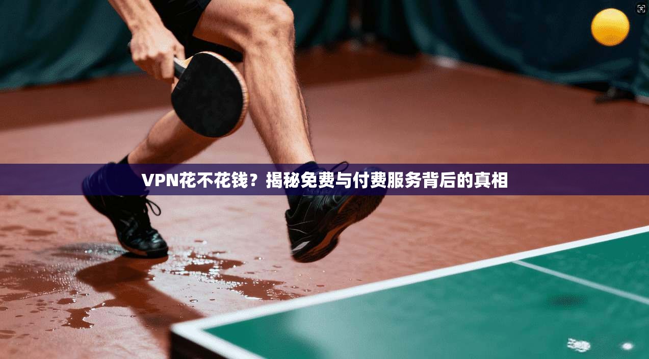 VPN花不花钱？揭秘免费与付费服务背后的真相  第1张
