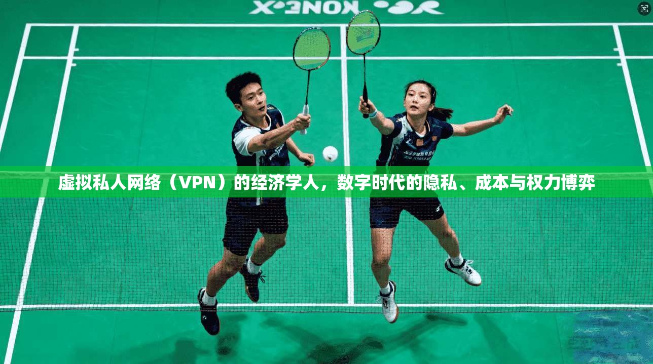 虚拟私人网络（VPN）的经济学人，数字时代的隐私、成本与权力博弈