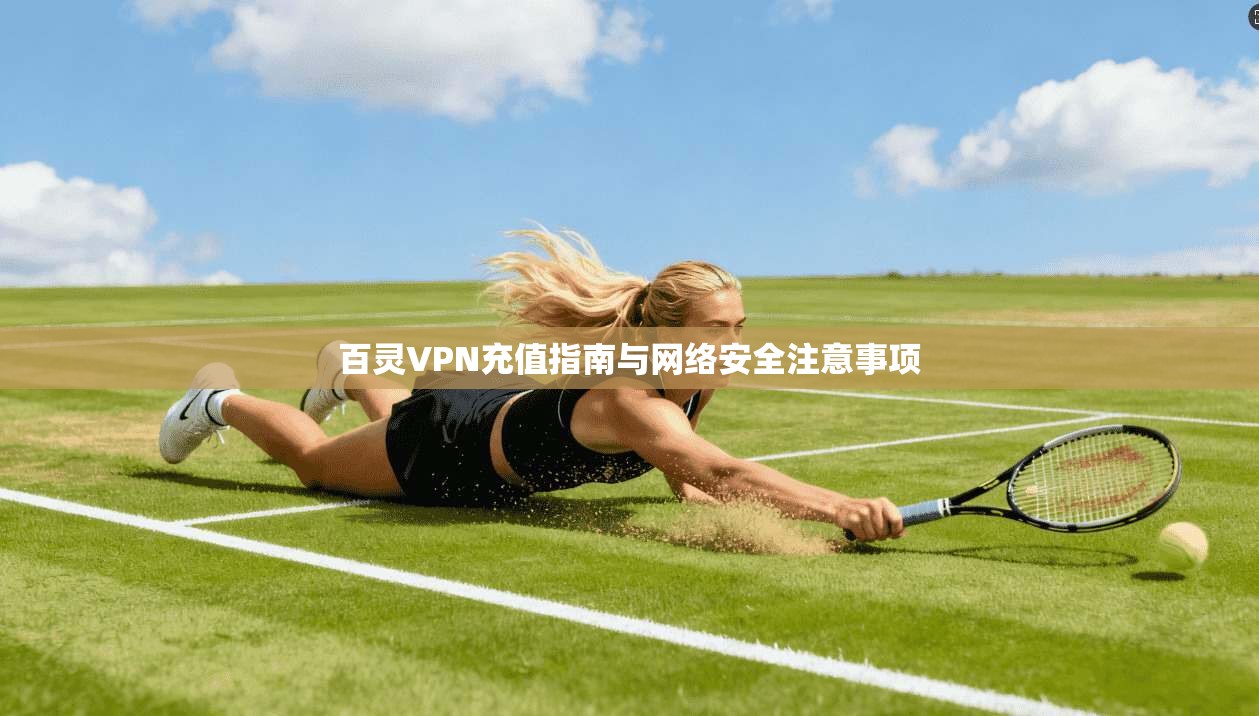 百灵VPN充值指南与网络安全注意事项