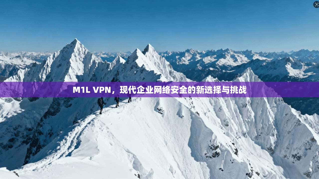 M1L VPN，现代企业网络安全的新选择与挑战