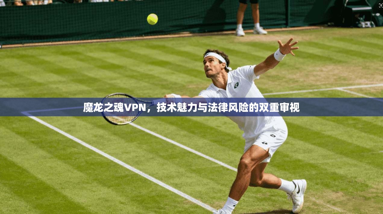 魔龙之魂VPN,技术魅力与法律风险的双重审视 第1张 魔龙之魂VPN,技术魅力与法律风险的双重审视 第1张