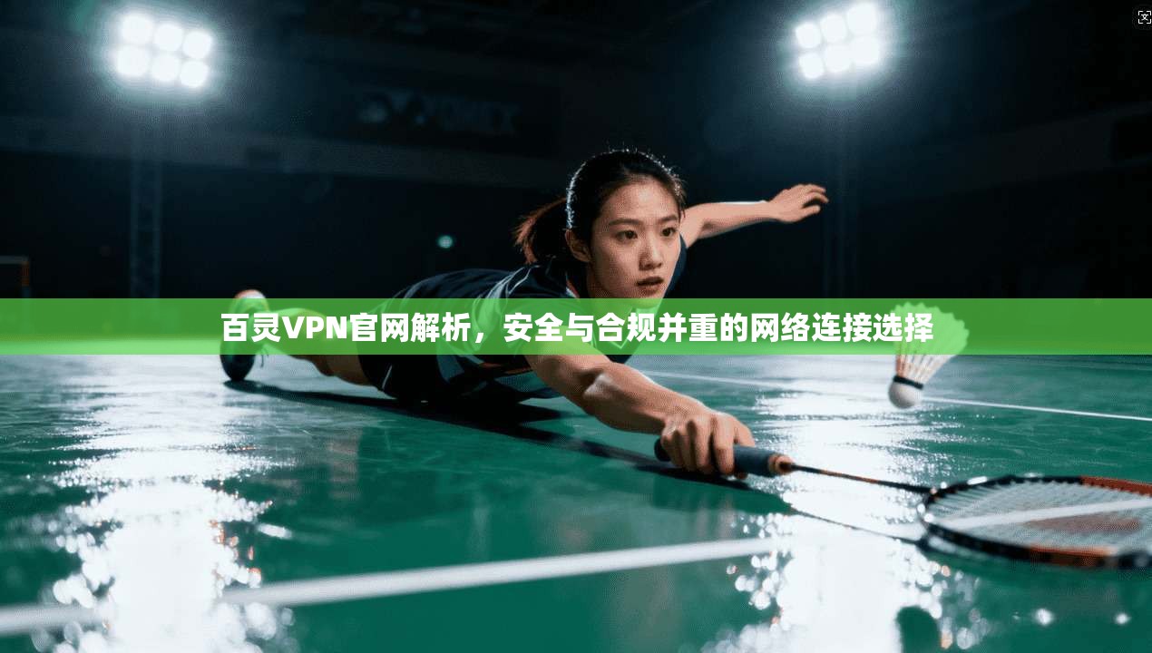 百灵VPN官网解析，安全与合规并重的网络连接选择