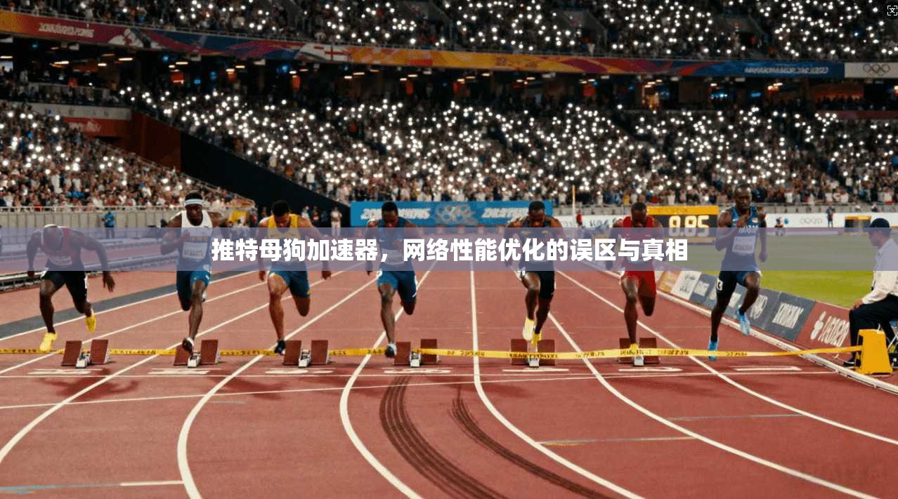推特母狗加速器，网络性能优化的误区与真相