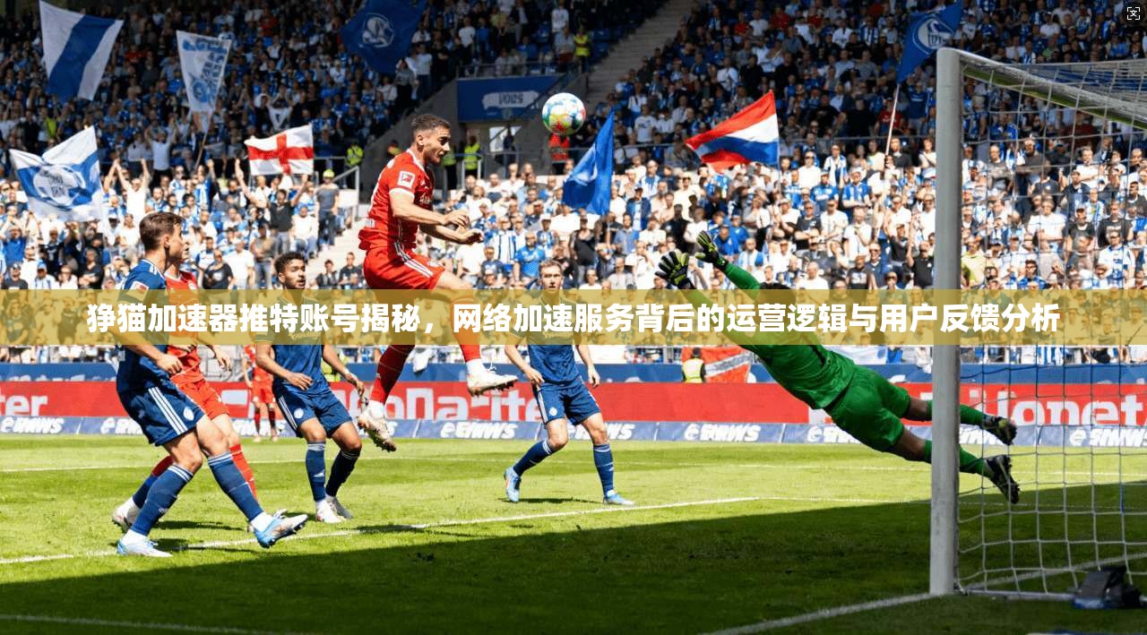 狰猫加速器推特账号揭秘，网络加速服务背后的运营逻辑与用户反馈分析  第1张