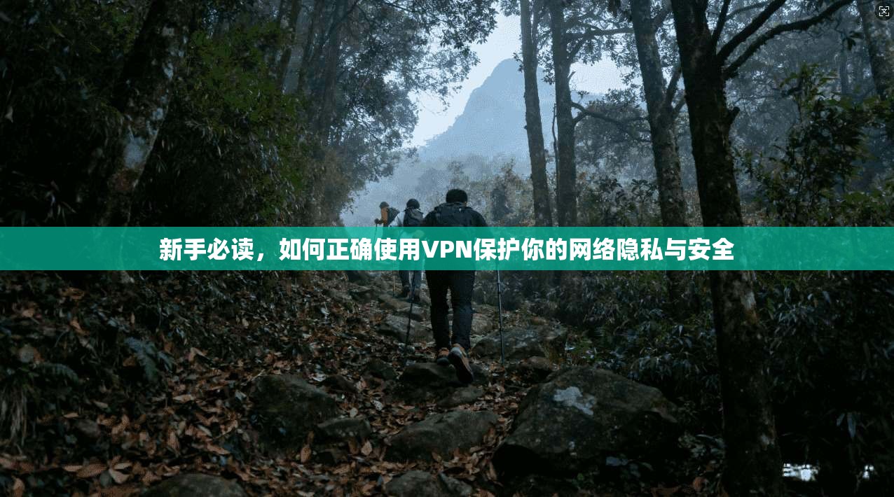 新手必读,如何正确使用VPN保护你的网络隐私与安全