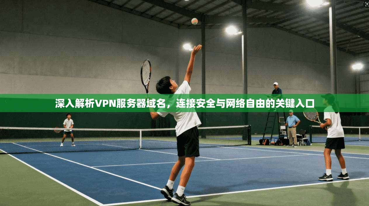 深入解析VPN服务器域名，连接安全与网络自由的关键入口