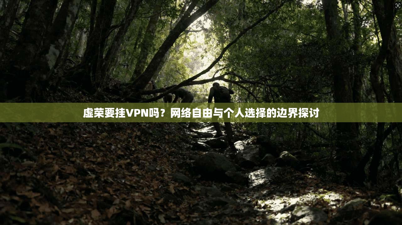 虚荣要挂VPN吗？网络自由与个人选择的边界探讨