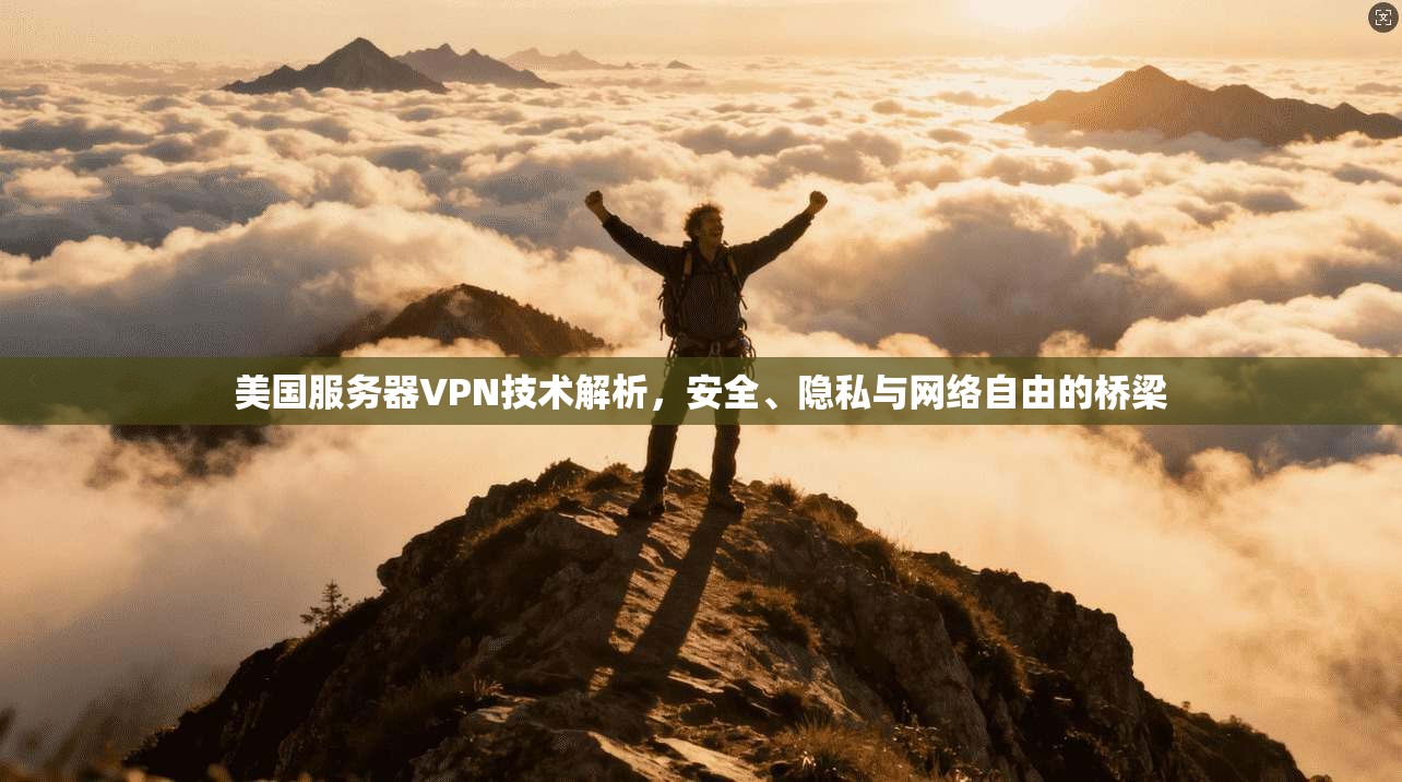 美国服务器VPN技术解析,安全、隐私与网络自由的桥梁