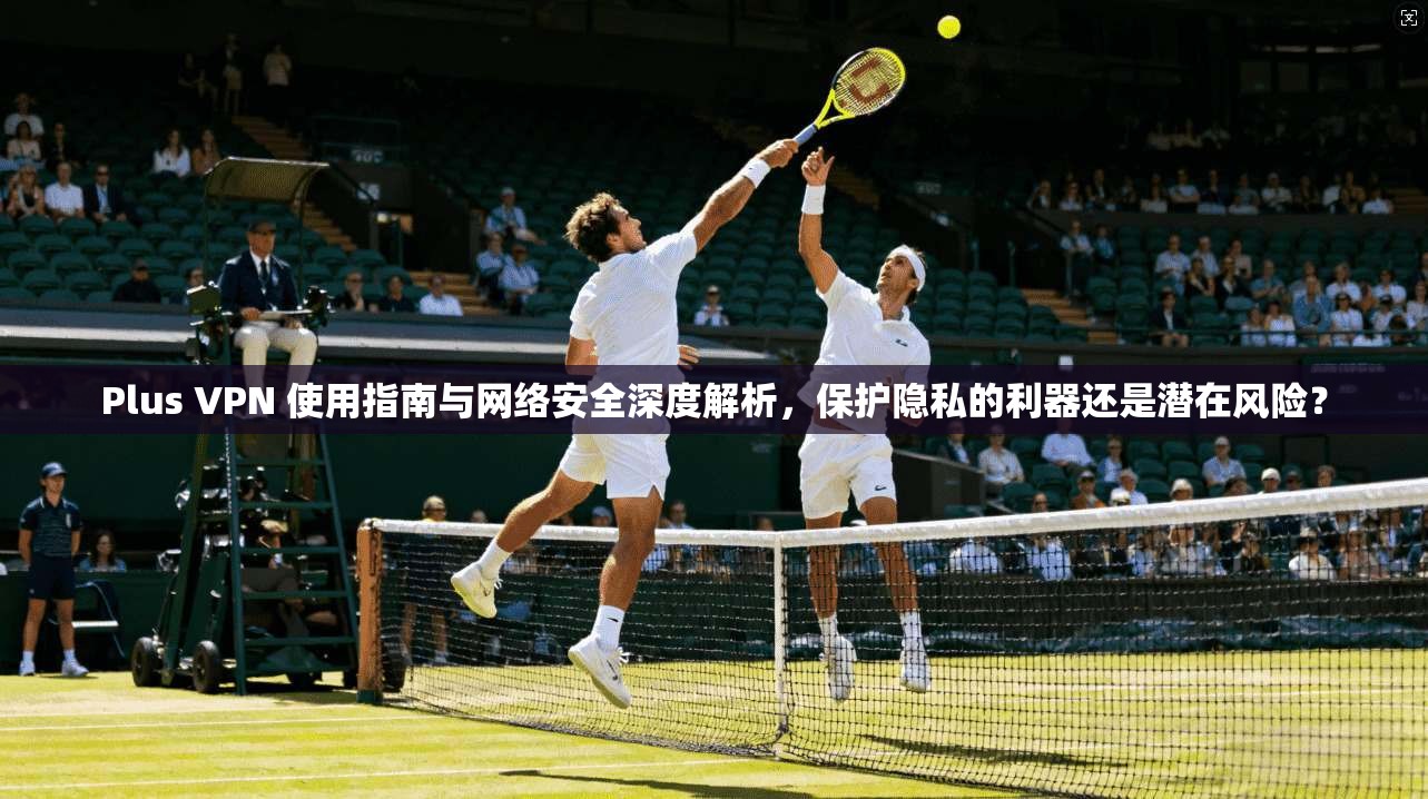 Plus VPN 使用指南与网络安全深度解析，保护隐私的利器还是潜在风险？