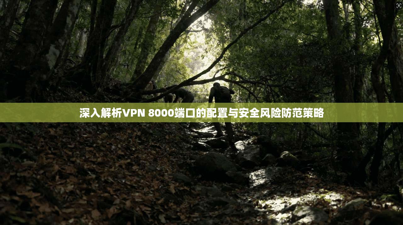 深入解析VPN 8000端口的配置与安全风险防范策略