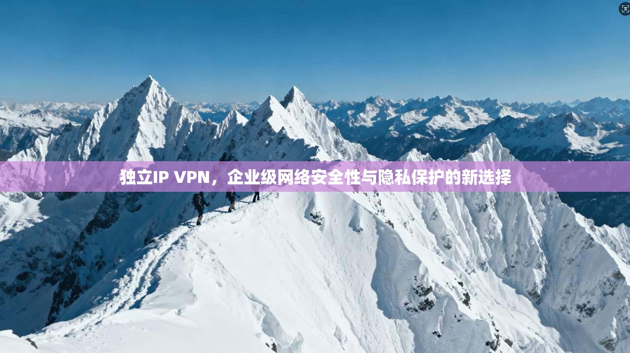 独立IP VPN,企业级网络安全性与隐私保护的新选择