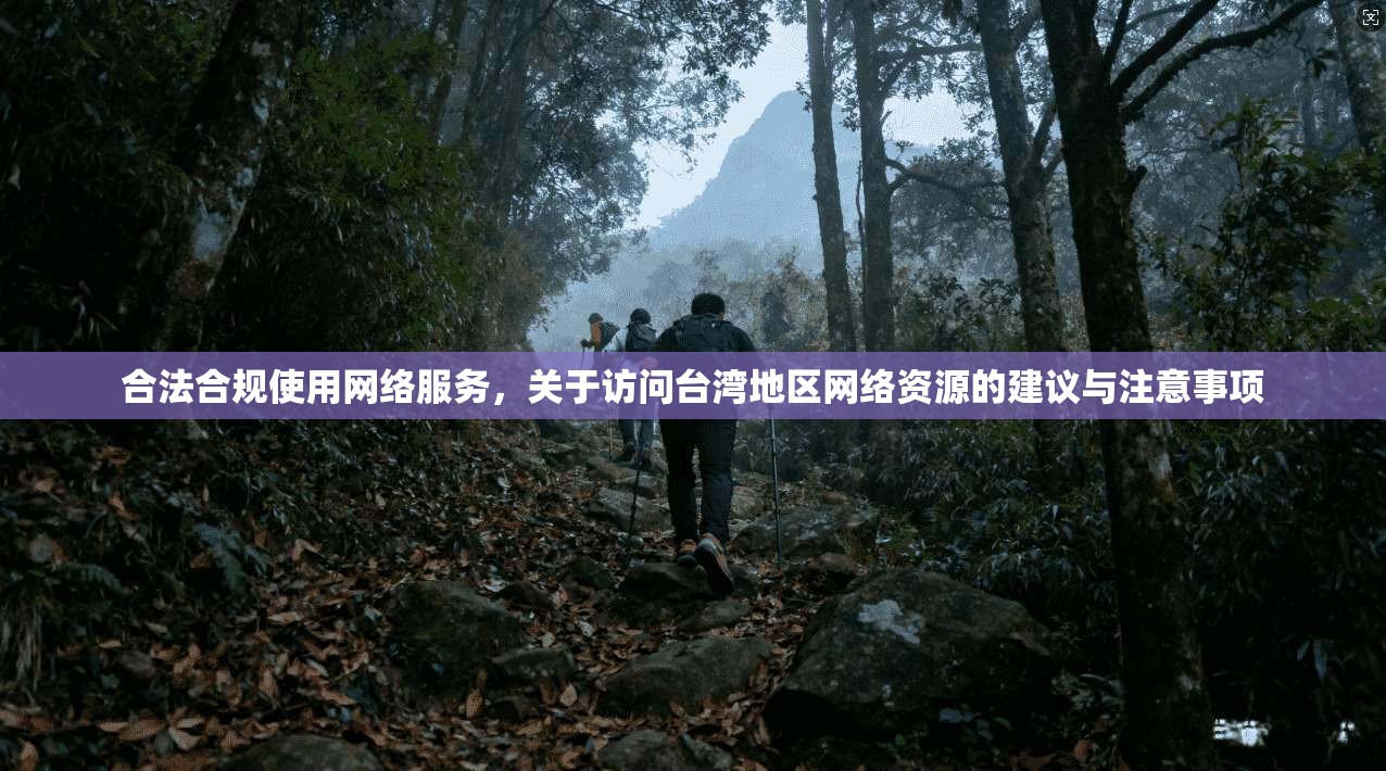 合法合规使用网络服务，关于访问台湾地区网络资源的建议与注意事项
