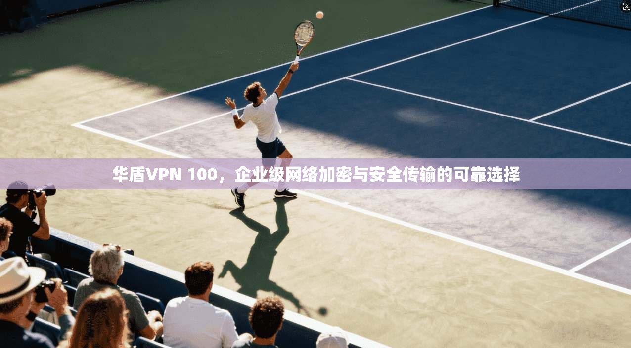 华盾VPN 100,企业级网络加密与安全传输的可靠选择