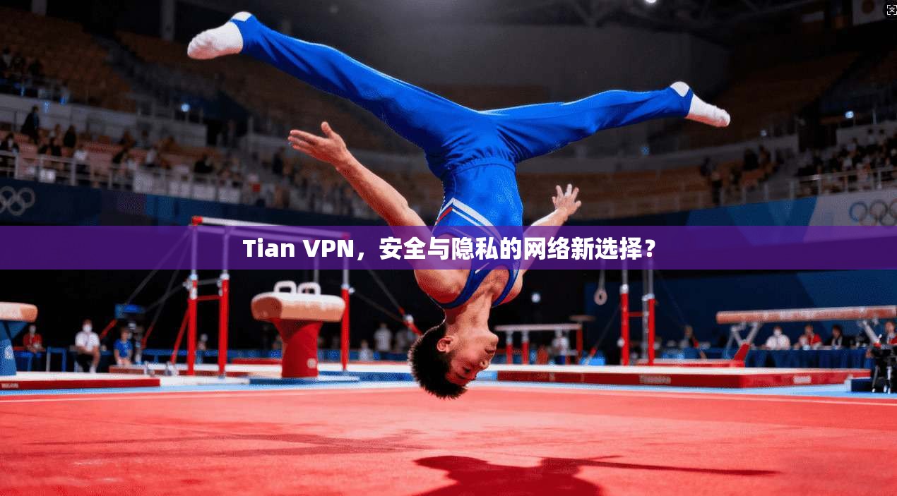 Tian VPN，安全与隐私的网络新选择？