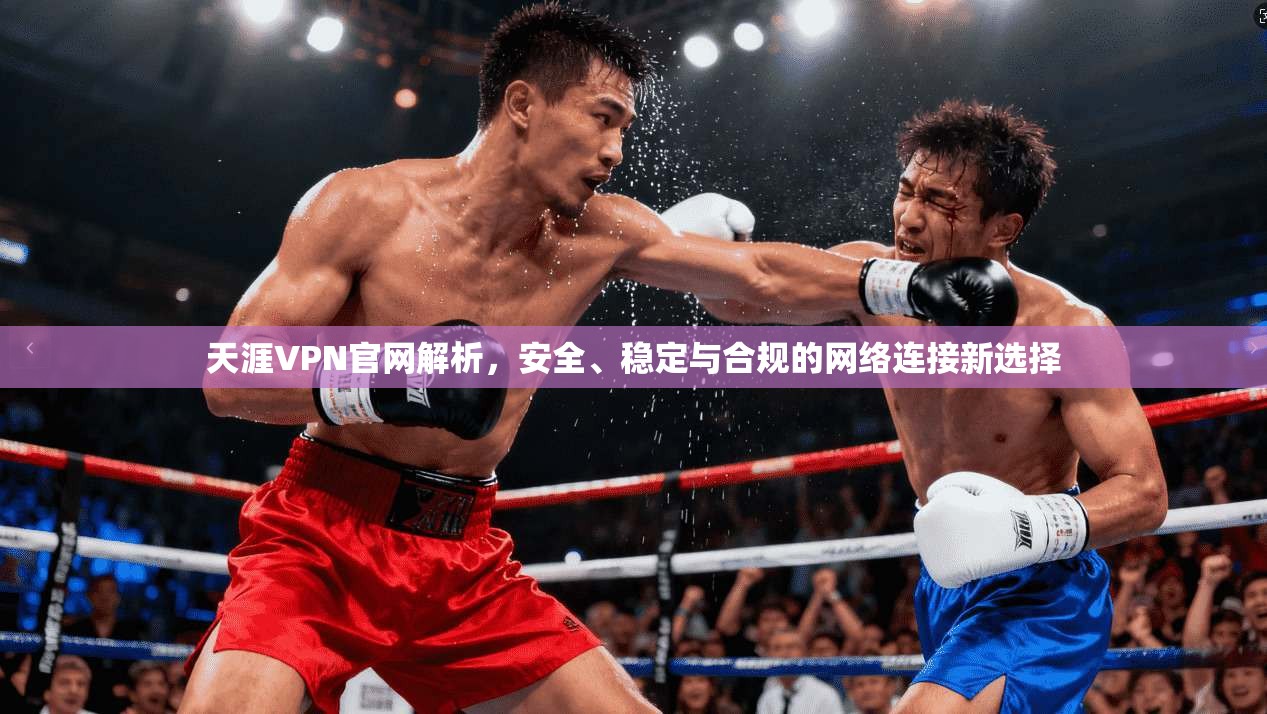 天涯VPN官网解析，安全、稳定与合规的网络连接新选择