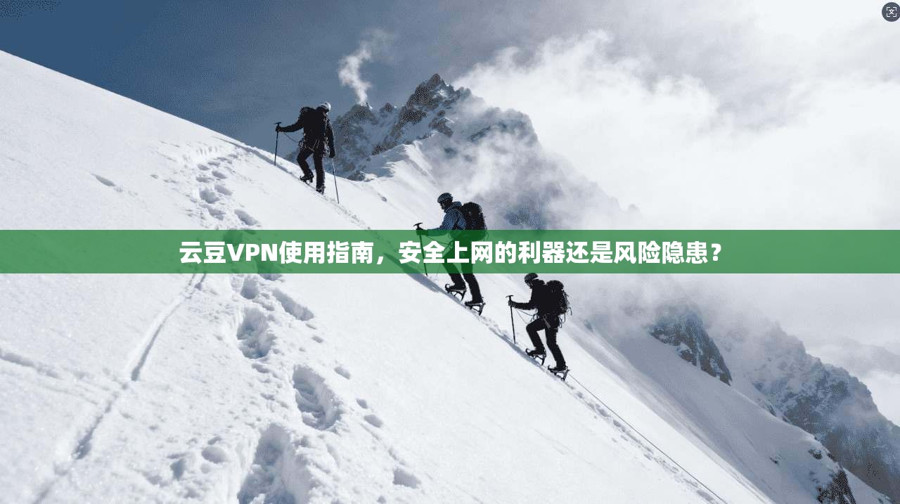 云豆VPN使用指南,安全上网的利器还是风险隐患?