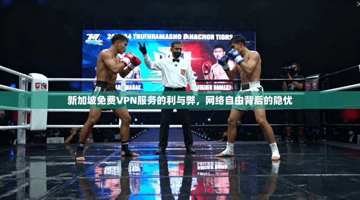 新加坡免费VPN服务的利与弊，网络自由背后的隐忧