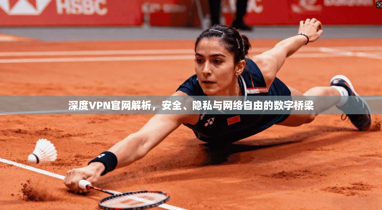 深度VPN官网解析，安全、隐私与网络自由的数字桥梁