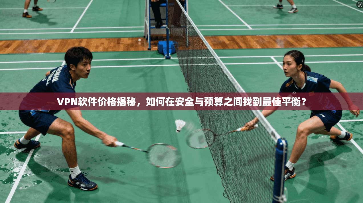 VPN软件价格揭秘，如何在安全与预算之间找到最佳平衡？