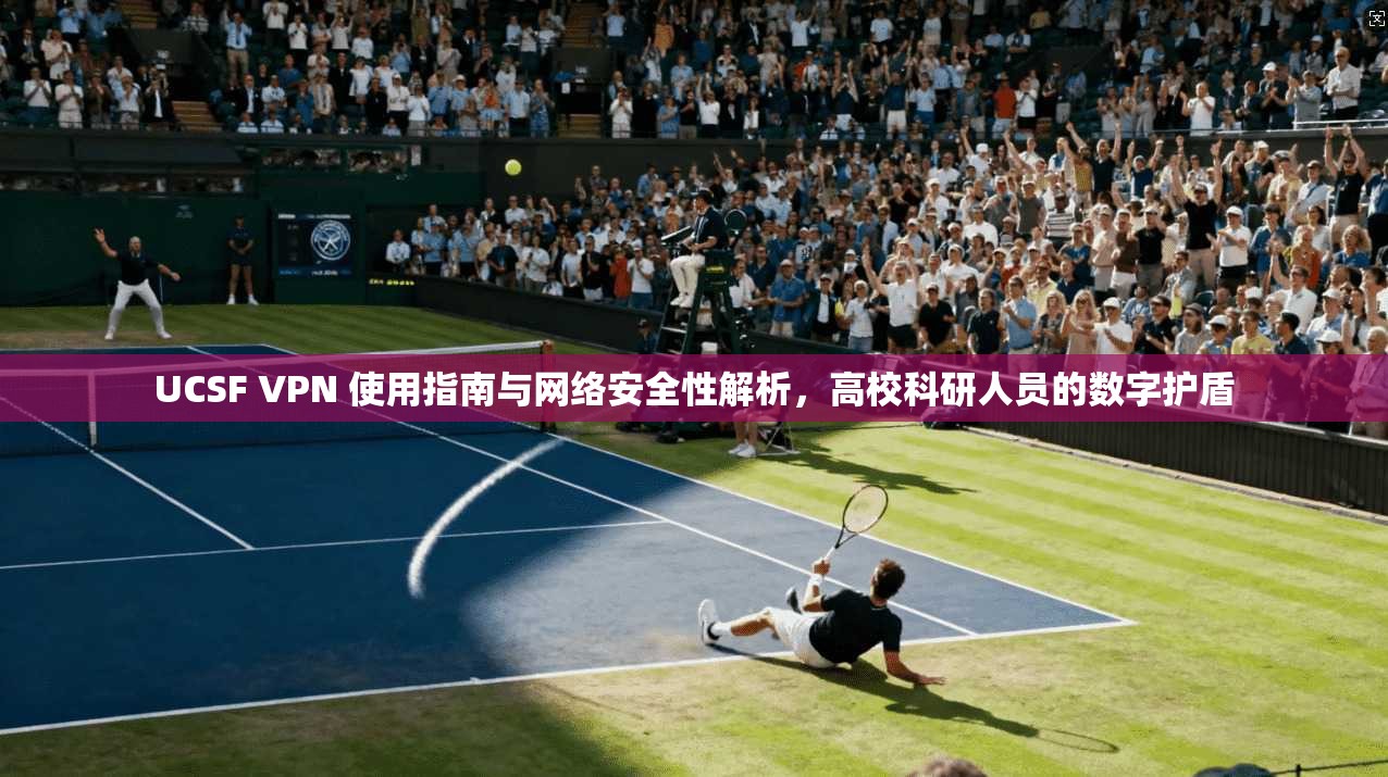 UCSF VPN 使用指南与网络安全性解析，高校科研人员的数字护盾