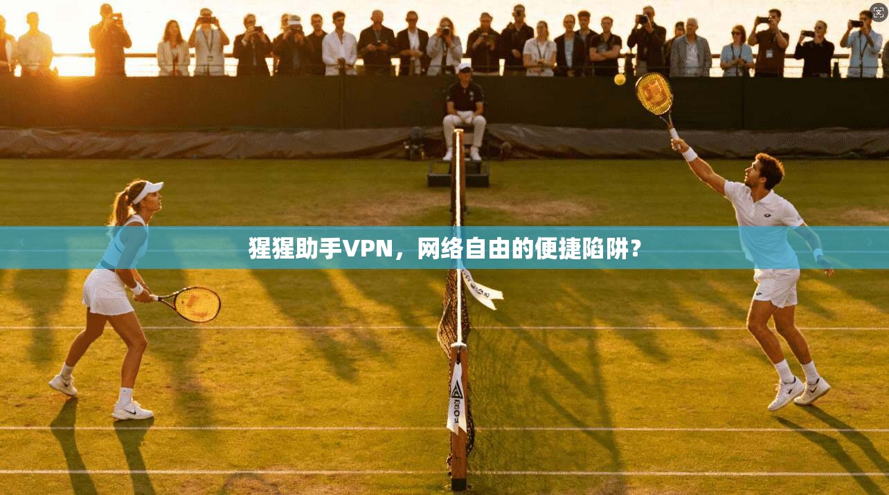 猩猩助手VPN，网络自由的便捷陷阱？  第1张