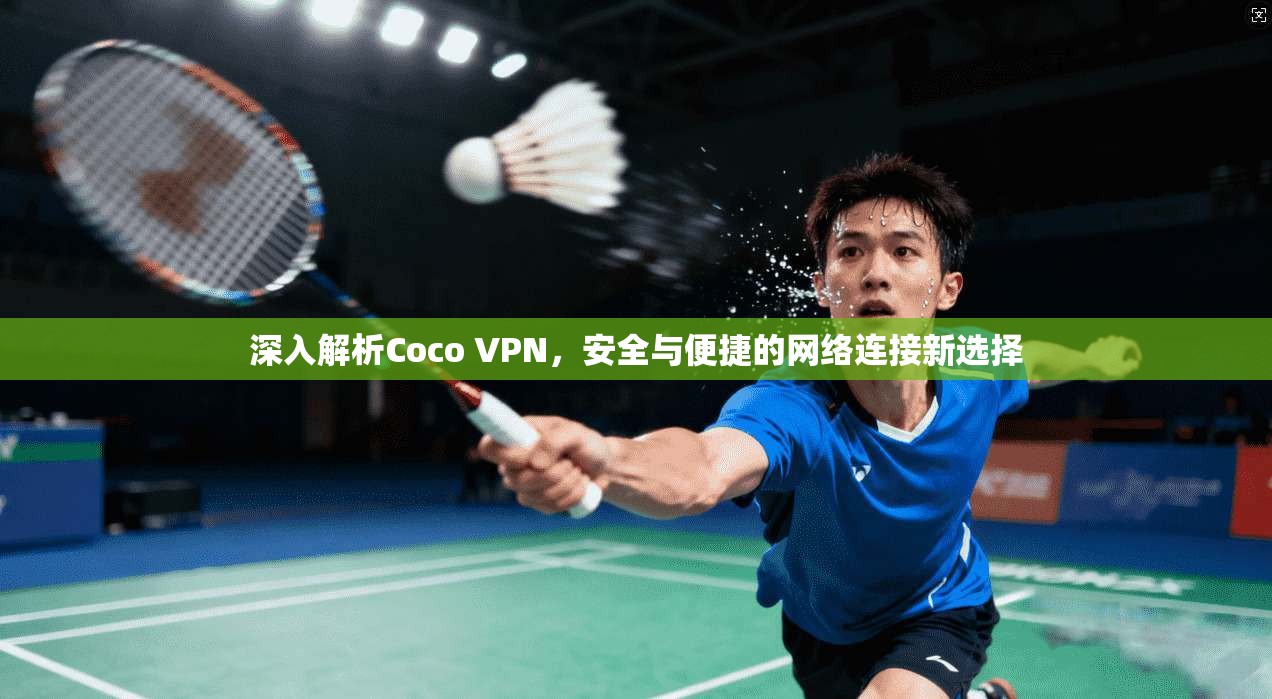 深入解析Coco VPN，安全与便捷的网络连接新选择