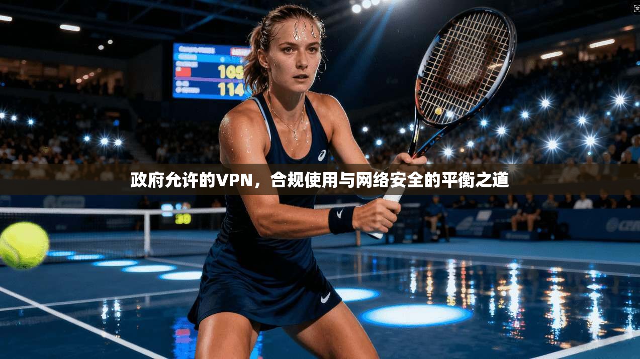 政府允许的VPN，合规使用与网络安全的平衡之道