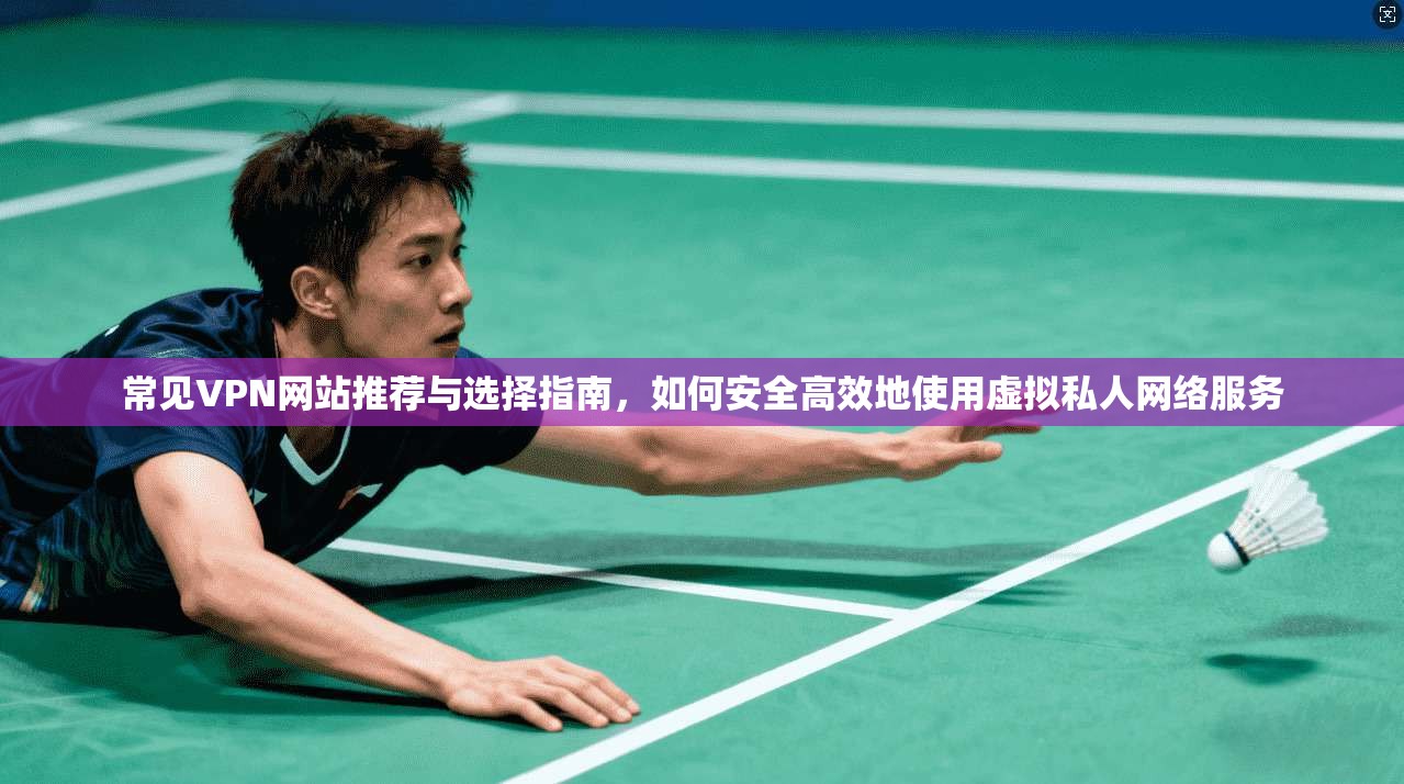 常见VPN网站推荐与选择指南，如何安全高效地使用虚拟私人网络服务