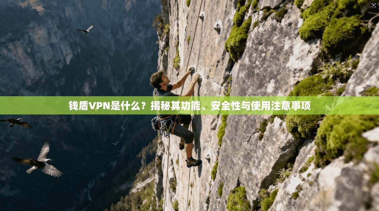 钱盾VPN是什么？揭秘其功能、安全性与使用注意事项