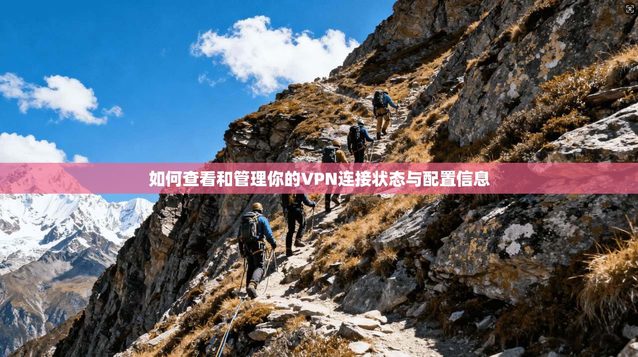 如何查看和管理你的VPN连接状态与配置信息