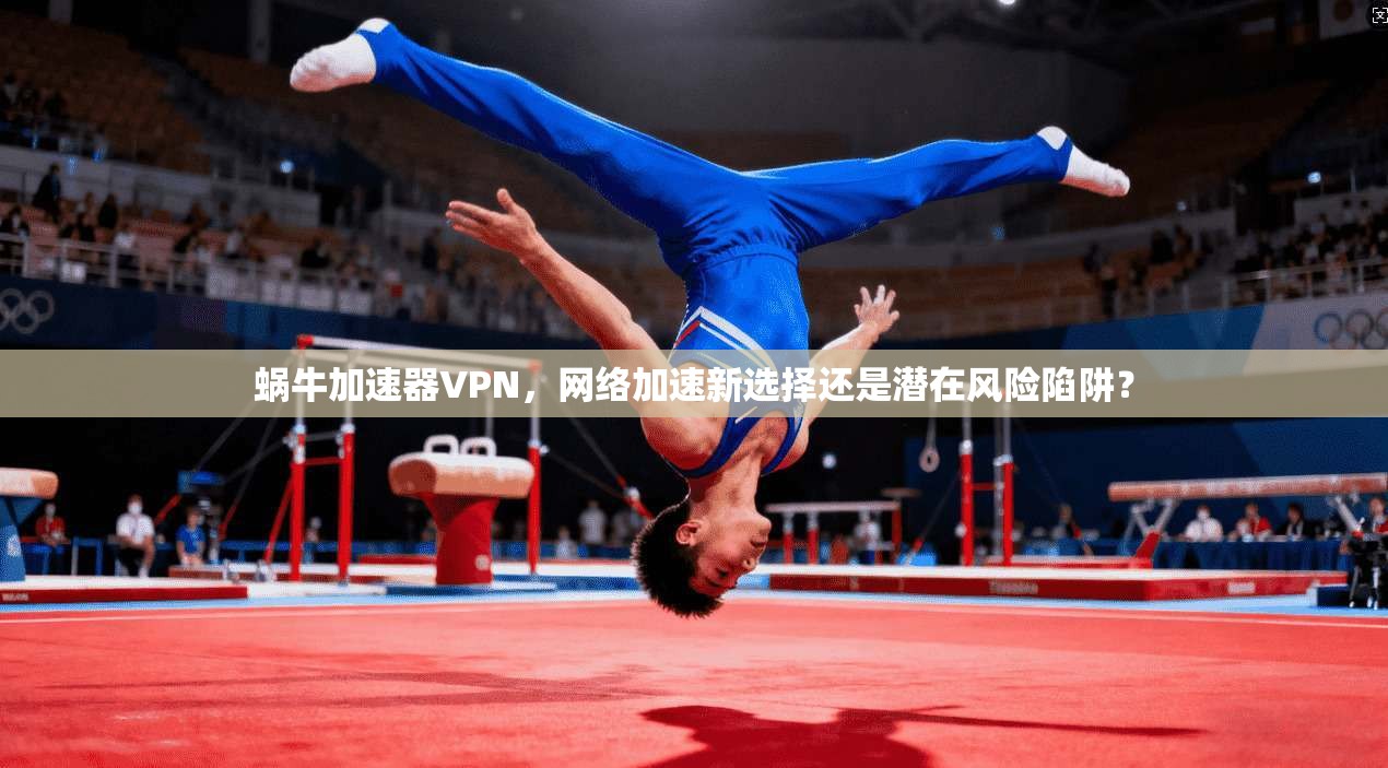 蜗牛加速器VPN，网络加速新选择还是潜在风险陷阱？