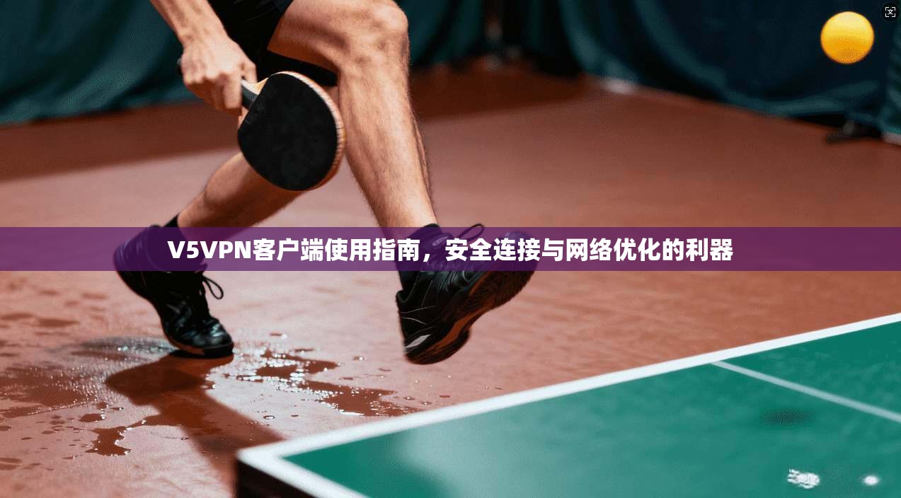 V5VPN客户端使用指南,安全连接与网络优化的利器