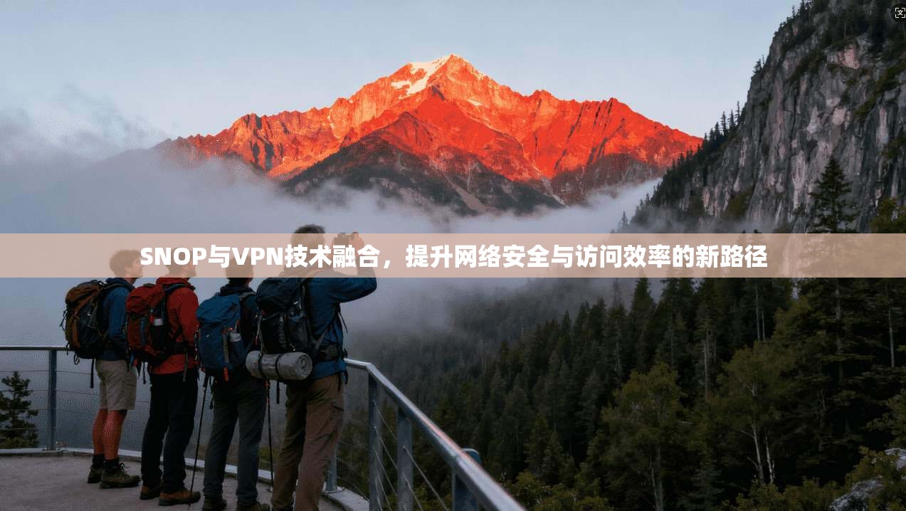 SNOP与VPN技术融合，提升网络安全与访问效率的新路径