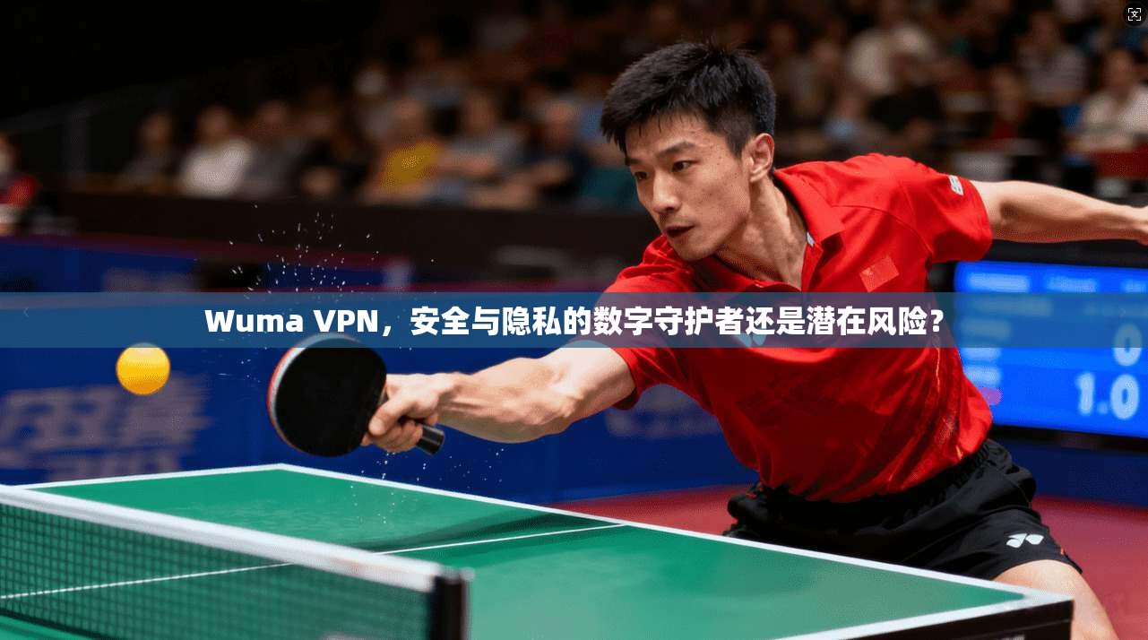 Wuma VPN,安全与隐私的数字守护者还是潜在风险?