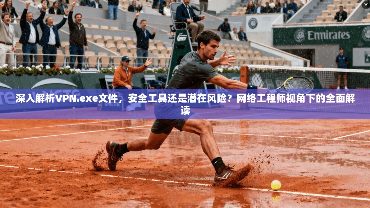 深入解析VPN.exe文件，安全工具还是潜在风险？网络工程师视角下的全面解读