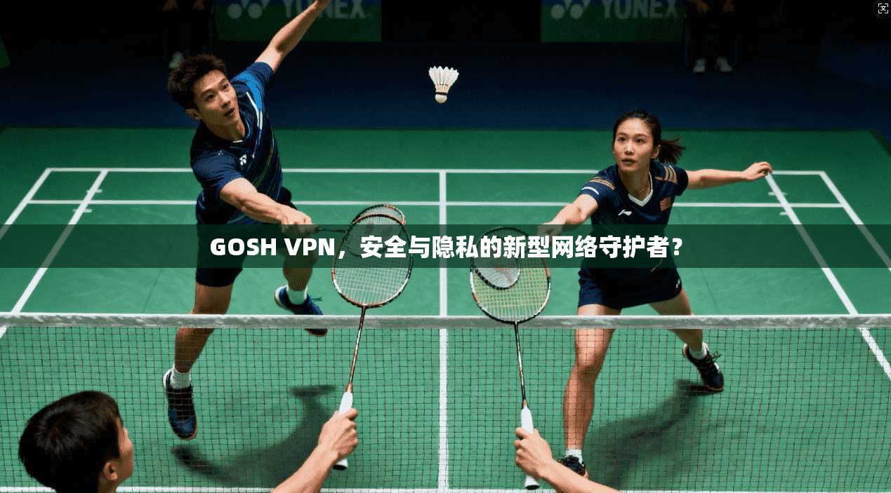 GOSH VPN，安全与隐私的新型网络守护者？