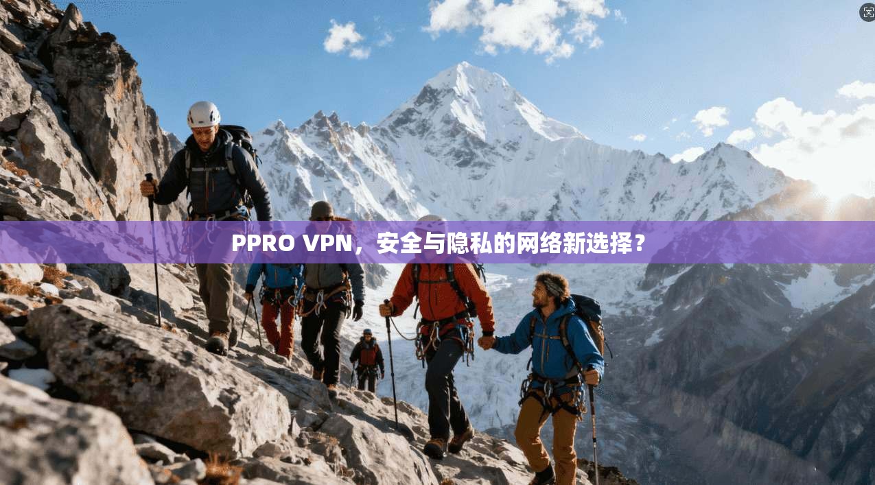 PPRO VPN，安全与隐私的网络新选择？