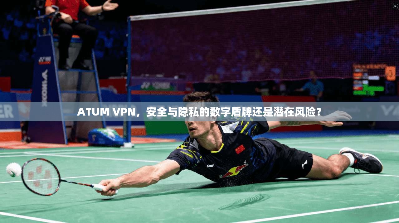ATUM VPN，安全与隐私的数字盾牌还是潜在风险？