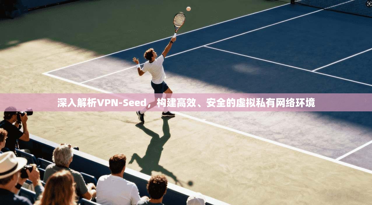深入解析VPN-Seed,构建高效、安全的虚拟私有网络环境