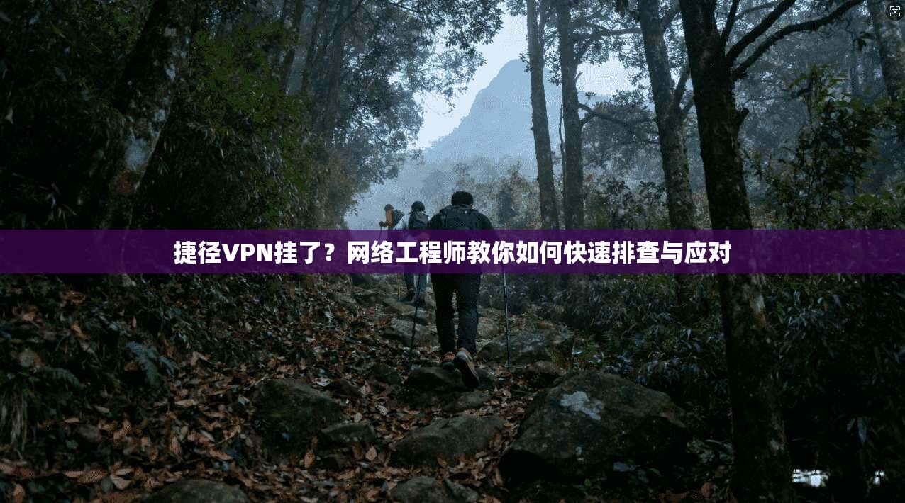 捷径VPN挂了？网络工程师教你如何快速排查与应对