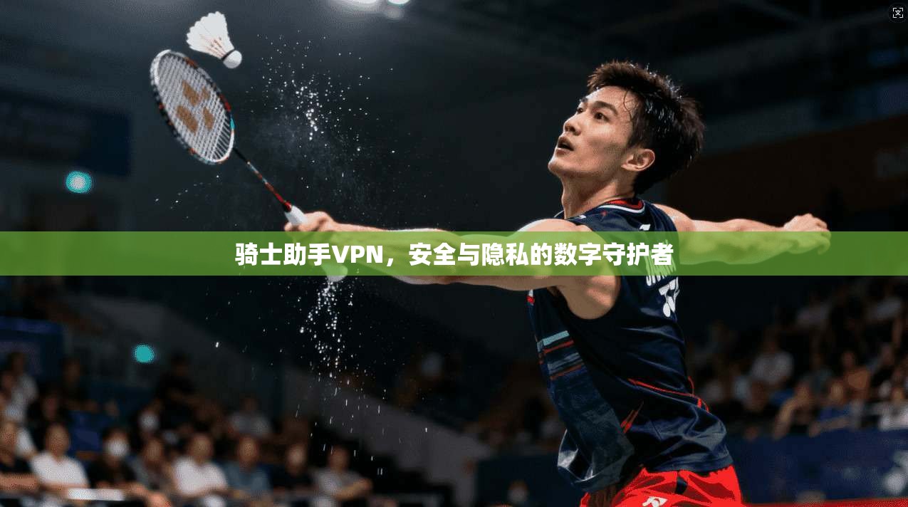骑士助手VPN，安全与隐私的数字守护者  第1张