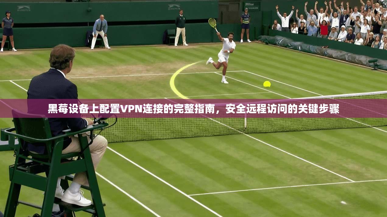 黑莓设备上配置VPN连接的完整指南，安全远程访问的关键步骤